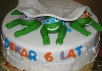 Tort Wojownicze Żółwie Ninja