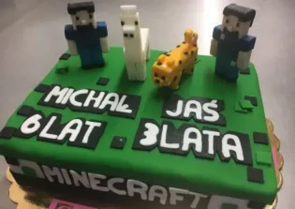 Tort Minecraft